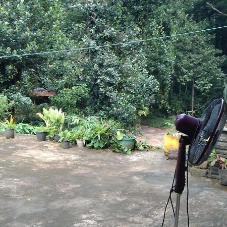 Kanneliya Eco Garden Hotel Koralegama Dış mekan fotoğraf