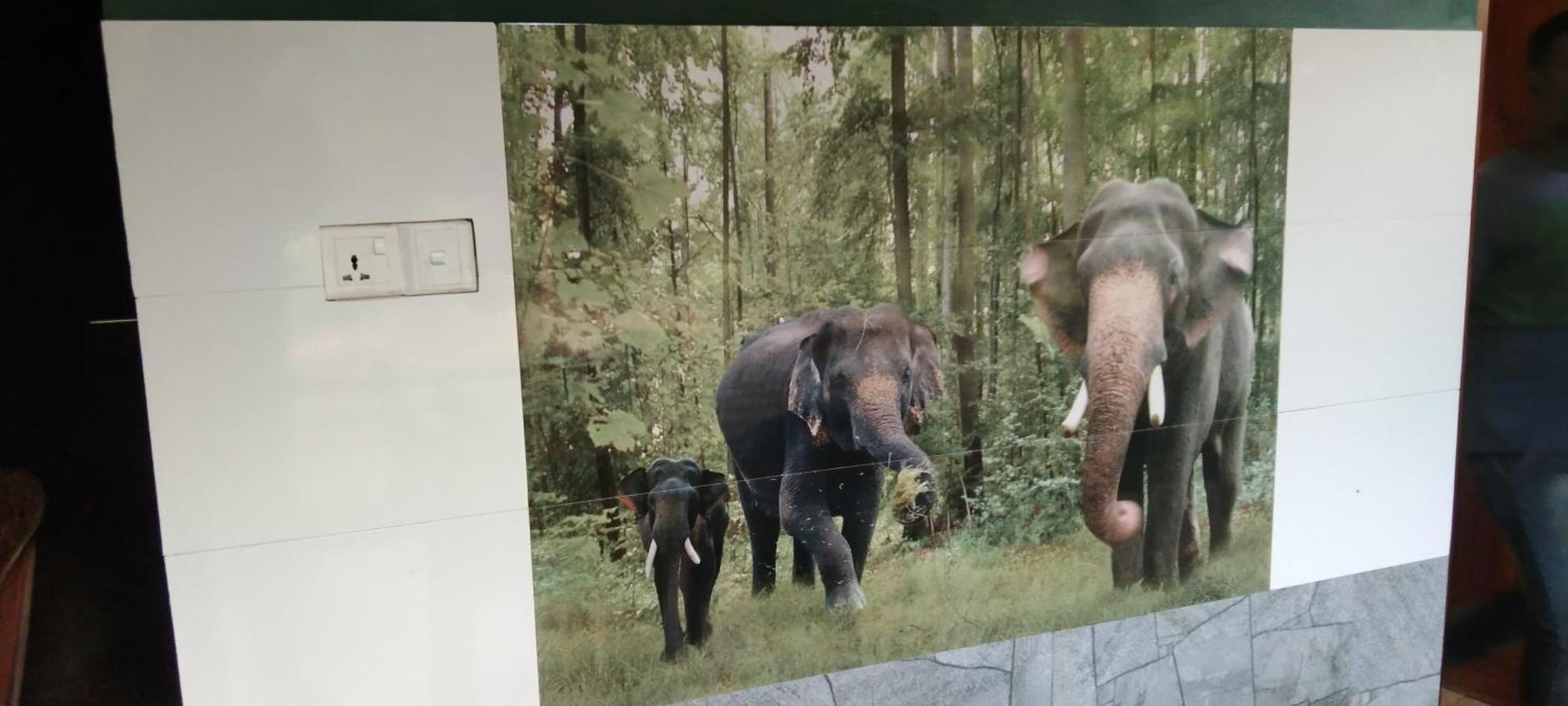 Kanneliya Eco Garden Hotel Koralegama Dış mekan fotoğraf